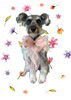 「Dog salon mofu mofu　余市町」