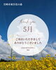 「🌼5月もご来店いただきまして、誠にありがとうございました【宮崎 脳洗浄 よもぎ蒸し ひなたまちのサロンlihi】」