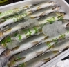 「今年も鮎の季節がやって来ました！」