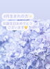 お誕生日おめでとうございます💛「💛6月生まれの方💛」