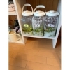 古庄店「梅はうめ～！」
