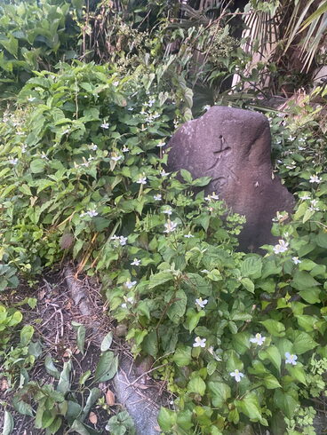 自宅の庭にある大黒様です。金運の神様です。「探偵歴34年の調査実績。元警視庁刑事顧問。明朗会計。安心の女性相談員在籍。群馬-前橋・高崎 茨城-水戸・土浦・つくば 栃木-水戸 埼玉-春日部・上尾・川越 千葉-柏 探偵調査全国対応。」