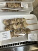 割引き「お惣菜火曜日割引き実施中」