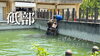 「とべ動物園Vlog💕」