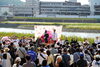 たくさんの方が見守る中こんぶカット「大盛況!!!京橋朝市『桃太郎伝説~北前船ものがたり』開催されました。」
