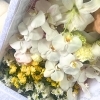 お棺の中にお花を手向ける「和歌山市での直葬｜成年後見制度のもとで支えられたI様の旅立ち」