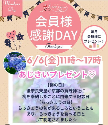 紫陽花「【6/6(金)開催】会員様 感謝DAY開催!あじさいプレゼントで梅雨もHAPPYに♪」