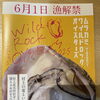 夏だ！海だ！岩牡蠣だ‼️  今年初物岩牡蠣入荷しました！【村上市ランチ、村上市ディナー、村上市食事、村上市居酒屋、村上市海鮮、和食、洋食、イタリアン、パスタ、ピザ、パスタランチ、宴会、コース料理、テイクアウト、弁当、折料理、岩牡蠣⠀】