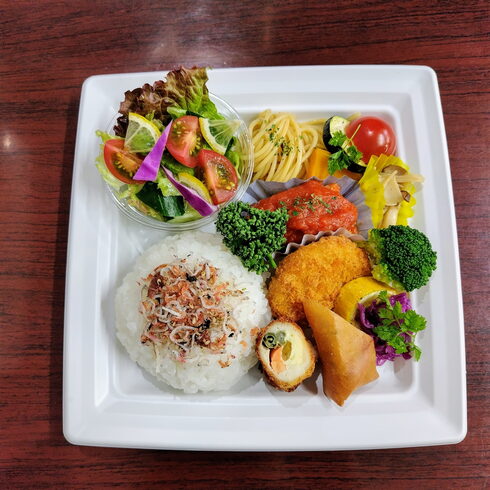 チキントマト煮 コロッケ 鶏野菜チーズフライ「6月6日のお弁当」