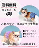 「大人気のマナー商品『送料無料』キャンペーンを開催中🎀」