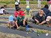 七福芋苗植え体験「新居大島特産の「七福芋」が今年から新居浜市内で栽培し収穫されます。それを記念して【2025年6月7日（土）】高津の畑にて七福芋苗植え体験会が開催されました！」