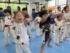 「6月7日(土)の稽古風景≪ 明石/空手/スポーツ/運動/幼児/小学生/お稽古/習い事≫」