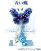 「青い蝶〜Blue Butterfly〜【福山駅近くのおしゃれな花屋】」