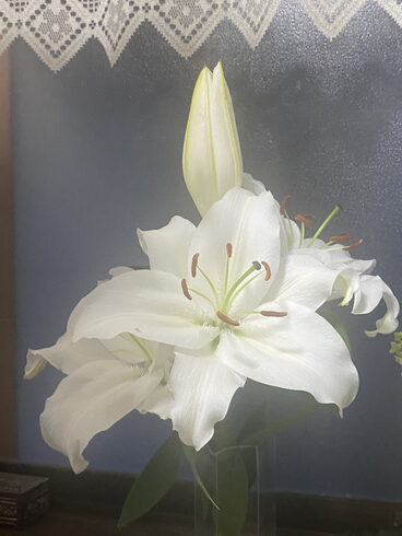 玄関ね百合です。匂いが少しキツイです。「一つ一つ丁寧な調査の実践。元警視庁刑事顧問。探偵歴34年の経験と実績。浮気調査・家出人調査・結婚調査・詐欺被害調査等、探偵調査全国対応。明朗会計。群馬-前橋・高崎 茨城-水戸・つくば・土浦 栃木-宇都宮 埼玉-上尾です川越。」
