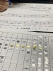 「ワークでさらに定着力が上がる！みんな「書く」のも大好き」