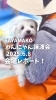 「SAYAMAKOわんにゃん譲渡会(犬猫譲渡会)6/8㈰会場はこんな感じでした！  埼玉/所沢・入間・狭山・川越・飯能 　東京/東大和・武蔵村山・東村山・東久留米・小平・立川」