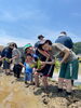 はちぷろ 高尾の天狗 酒米 田植え 高月町 「八王子地酒 高尾の天狗 になる酒米の田植えに参加してきました。 八王子のお酒 八王子お土産 八王子産 高尾 天狗 高月町 東京都のお米 米どころ 高月 田んぼ 田植え はちぷろ お米 東京都八王子 」