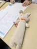 かわいいですね！「久々に今日の筆箱」
