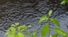 特に梅雨時期は気持ちを晴れやかに!身体を健やかに!「この時期に特に注意したい「ダニ」について知っておきましょう。」