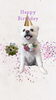 「Dog salon mofu mofu　余市町」