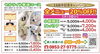 「【14周年感謝】全メニュー20%OFFキャンペーン！✨6月末まで✨」