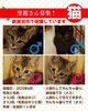 「【新居浜市】里親募集のお知らせ！」
