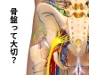 骨盤って大切？「骨盤って何がそんなに大事なの？」