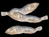 小魚をとって心がバテない体へ「自分に優しく」