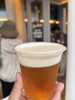本場チェコのピルスナー！「インディの《飲むリエ日誌》 其の弐拾参本目 」