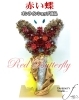 「赤い蝶〜Red Butterfly〜【福山駅近くのおしゃれな花屋】」