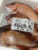 「ホームページはこちら🔗iwafunegyokou.com」