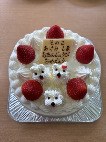 そのこ あけみ しま お誕生日おめでとうございます「本日のお誕生日ケーキ」