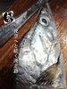 「太刀魚入荷致しました！」