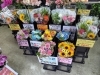「【泉佐野市、貝塚市、熊取町、日根野】でお住まいの方で日常のお花を飾りたい方、素敵なお花屋さんをお探しの方にオススメの花屋りっちゅ情報」