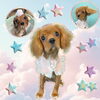 「Dog salon mofu mofu　余市町」
