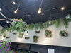 店内たくさんの壁面パネルご用意しています「🌿【空間を彩る、癒しのグリーンアート】🌿」