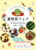 「夏野菜フェア‼️」