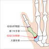 母指の付け根「親指の付け根　痛くなることないですか？【青梅駅徒歩5分　相談できる理学療法士のいるからだ解決堂】」
