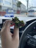 幸せの四葉のクローバー🍀「☘️スタッフ募集☘️【札幌市北区篠路　児童発達支援　放課後等デイサービス】」