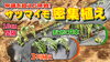 「２倍以上の収量性を狙う! サツマイモを超密植植えしたらどうなるのか？　たねのハシモトミヤ」
