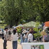 お田植まつり2025　無事に終了しました！