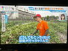 本日はオレンジ色のシャツで登場👕「☆『ひるおび』、無事にオンエア☆」