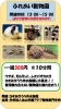 「今週末はふれあい動物園！　週末は湖畔の風吹くかすみがうら市水族館で遊んで学ぼう✨⛲️」