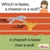 Which is faster?  「Teacher'sコーナー220号 Do you remember this, "A is better than B."?【千葉のならいごと　英会話スクール】」