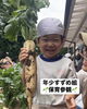 大きな大根が掘れたよ💪🏻「おうちの人が遊びに来てくれました‼️ 【年少　保育参観】」