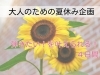 「初めて・ブランク歓迎！大人のための、夏限定ピアノレッスン特別企画」
