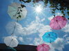梅雨の晴れ間「二十四節気 「夏至」1年で昼の長さが最も長くなる頃」