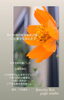 素敵なご縁になりますように…🌹✧︎*。「黄花秋桜が咲き始めの候、夏至(6/21)を迎えます🤍🌿心身の浄化おすすめ🤍🌿夏バテを防ぐヨガ時間🌹✧︎*。【福島市のヨガスタジオ/都度払い/プライベートレッスンあり】」