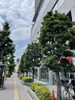 「やさしさに包まれたなら/荒井由実　ブルーライト・ヨコハマ/いしだあゆみ　みんなで歌謡ポップス」
