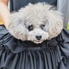 シェリーちゃん「今日のお友達」